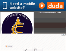 Tablet Screenshot of citycrick.com